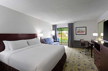 Room, 1 King Bed, Non Smoking, Patio