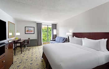 Room, 1 King Bed, Non Smoking