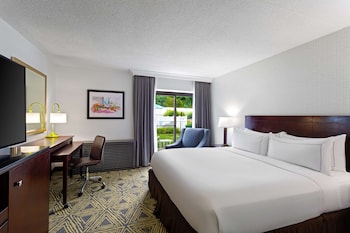 Room, 1 King Bed, Accessible, Non Smoking