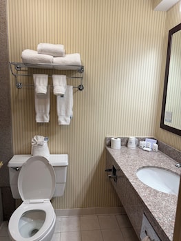 Presidential Suite, 1 King Bed, Non Smoking