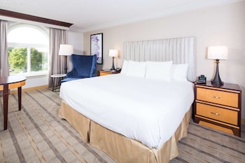Room, 1 Queen Bed