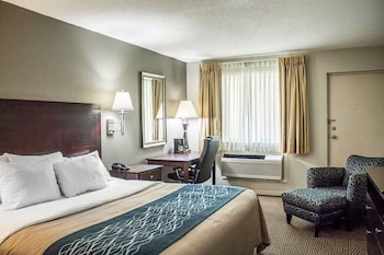 Room, 1 King Bed, Accessible, Non Smoking