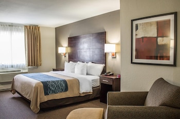 Room, 1 King Bed, Accessible, Non Smoking