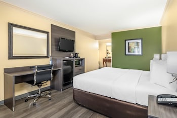 Room, 1 King Bed, Accessible, Non Smoking