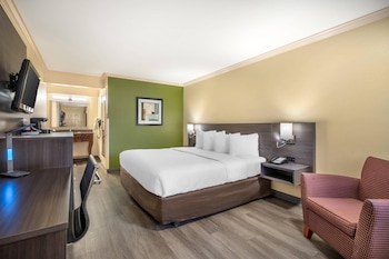 Room, 1 King Bed, Accessible, Non Smoking