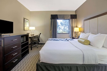 Room, 1 King Bed, Accessible, Non Smoking (Mobility Accessible)