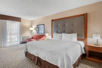 Standard Room, 1 King Bed, Non Smoking, Refrigerator & Microwave