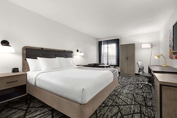 Room, 1 King Bed, Non Smoking