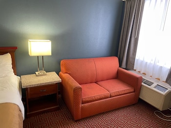 Standard Room, 1 King Bed with Sofa bed