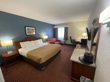 Standard Room, 1 King Bed with Sofa bed