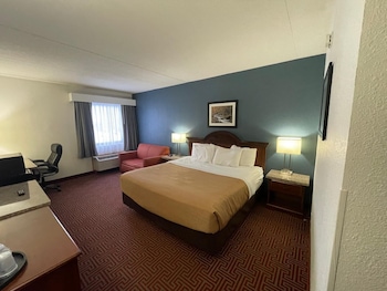 Standard Room, 1 King Bed with Sofa bed
