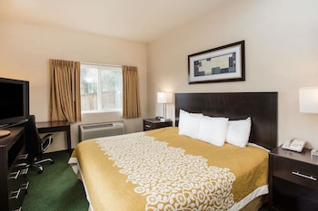 Suite, 1 King Bed, Non Smoking