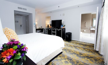 Standard Room, 1 King Bed, Roll-in Shower