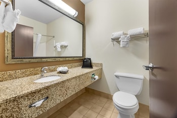 Standard Room, 1 King Bed, Accessible, Non Smoking