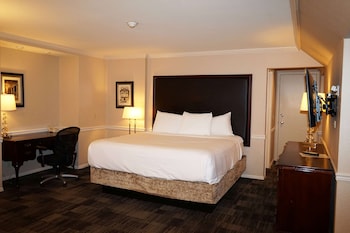 Room, 1 King Bed, Non Smoking (Efficiency)