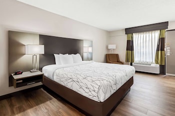Standard Room, 1 King Bed, Non Smoking, Refrigerator & Microwave