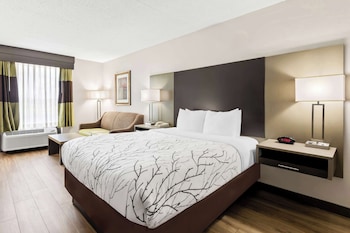 Standard Room, 1 Queen Bed, Accessible, Bathtub
