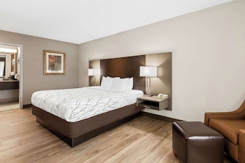 Standard Room, 1 King Bed, Non Smoking, Refrigerator & Microwave