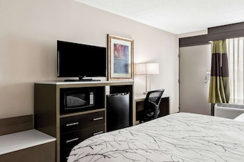 Standard Room, 1 Queen Bed, Accessible, Bathtub
