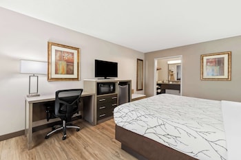 Standard Room, 1 King Bed, Non Smoking, Refrigerator & Microwave