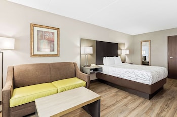 Standard Room, 1 Queen Bed, Accessible, Bathtub