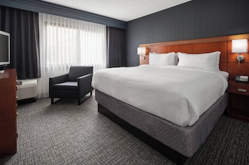 Suite, 1 King Bed with Sofa bed