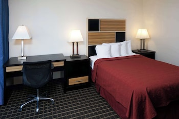 Room, 1 King Bed