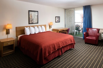 Suite, 1 King Bed
