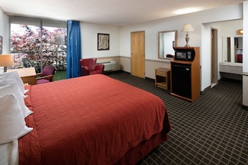 Suite, 1 King Bed
