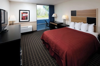 Room, 1 King Bed with Sofa bed