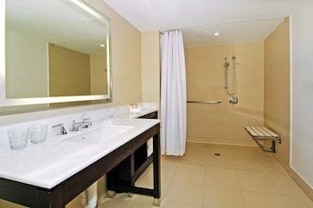 Room, 1 King Bed, Accessible (Roll-in Shower)