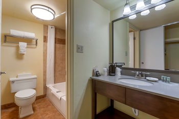 Standard Room, 1 King Bed, Non Smoking, Microwave