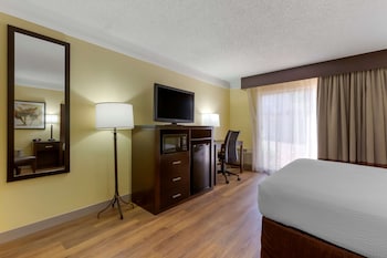 Standard Room, 1 King Bed, Non Smoking, Microwave
