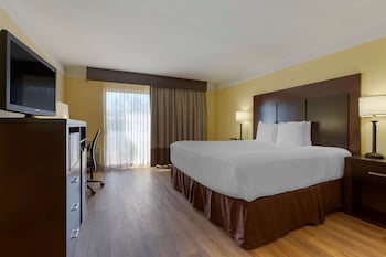 Standard Room, 1 King Bed, Non Smoking, Microwave