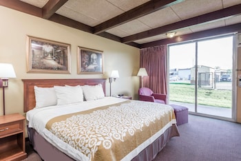 Room, 1 King Bed