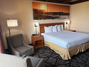 Room, 1 King Bed