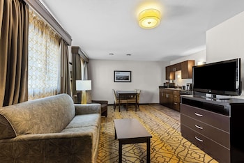 Suite, 1 King Bed with Sofa bed, Non Smoking, Kitchen (with Sofabed)