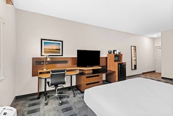 Standard Room, 1 King Bed, Non Smoking (with Sofabed)