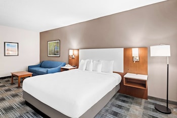 Standard Room, 1 King Bed, Non Smoking (with Sofabed)