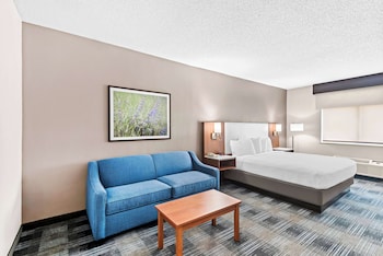 Standard Room, 1 King Bed, Non Smoking (with Sofabed)