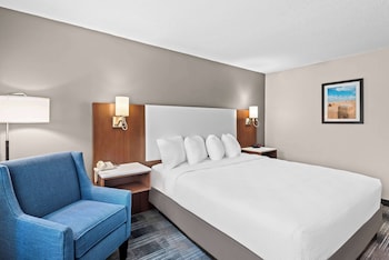 Standard Room, 1 King Bed, Accessible, Bathtub
