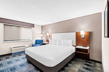 Standard Room, 1 King Bed, Accessible, Bathtub