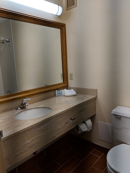 Room, 1 King Bed, Non Smoking (Pet-Friendly)