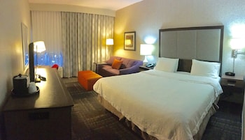Room, 1 King Bed, Accessible, Non Smoking