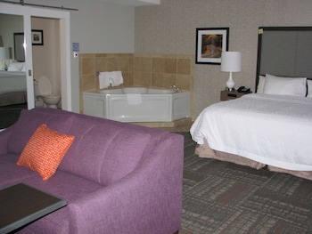 Room, 1 King Bed, Non Smoking, Jetted Tub