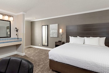 Room, 1 King Bed, Accessible, Non Smoking