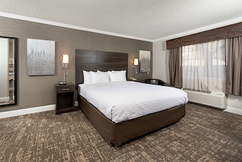 Room, 1 King Bed, Accessible, Non Smoking