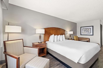 Standard Room, 1 King Bed, Non Smoking, Refrigerator