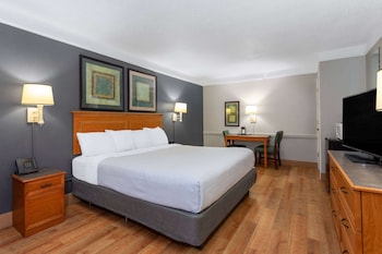 Room, 1 King Bed, Non Smoking