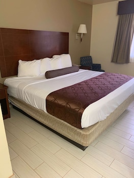 Standard Room, 1 King Bed, Non Smoking, Refrigerator & Microwave (Pet Friendly)